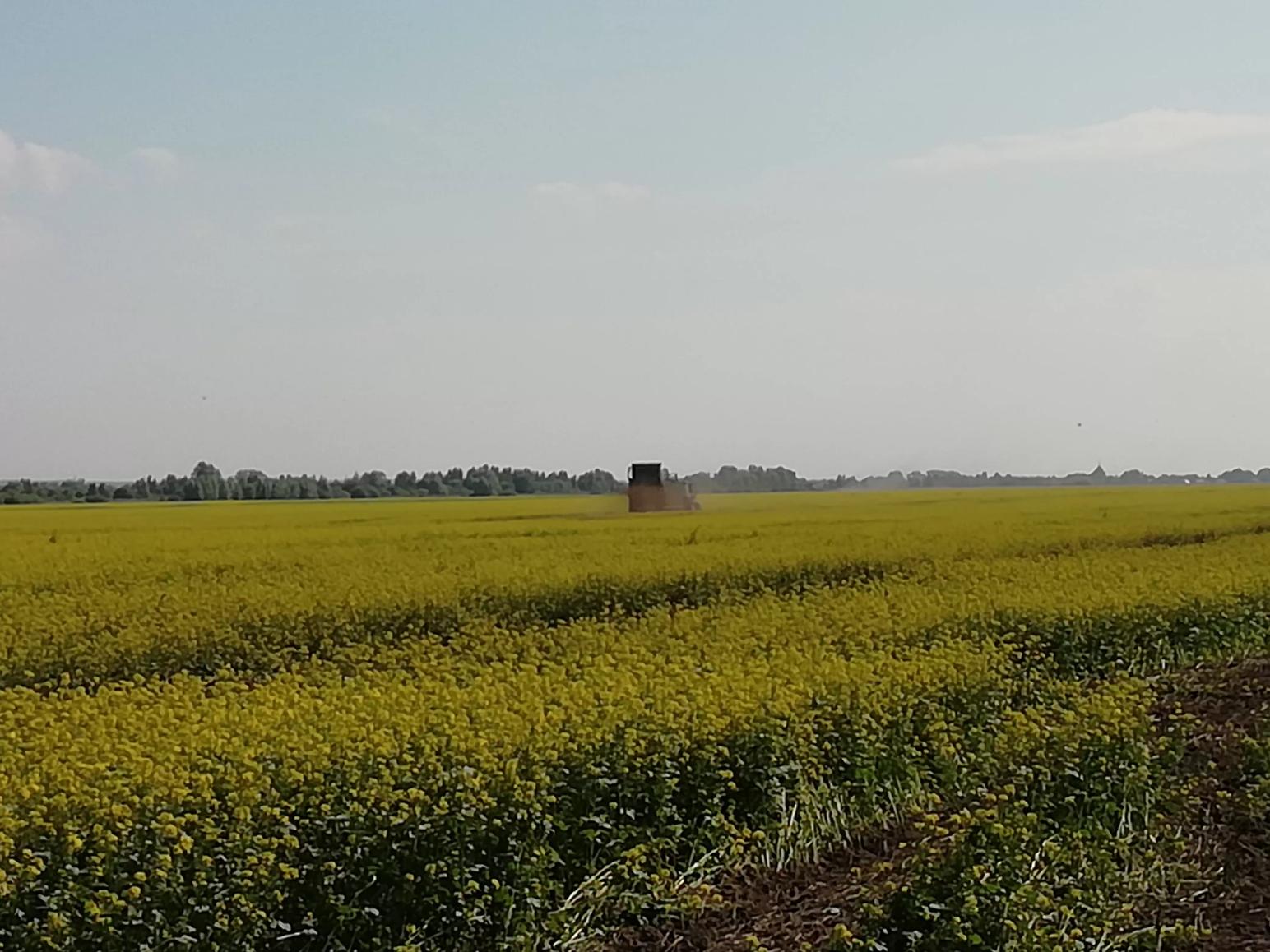 Как Вам такое комбо!?