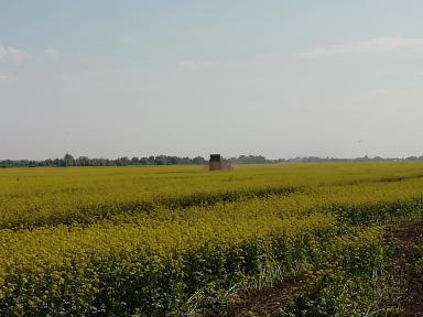 Как Вам такое комбо!?