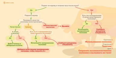 Протоколы по работе с молозивом
