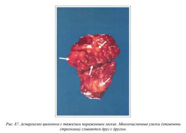 Вегад - Атлас болезней птицы. Ч. 16. Аспегиллез