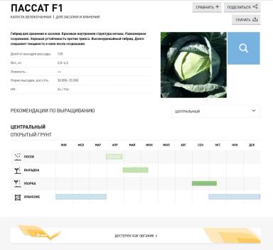 Пассат F1 (PASSAT)