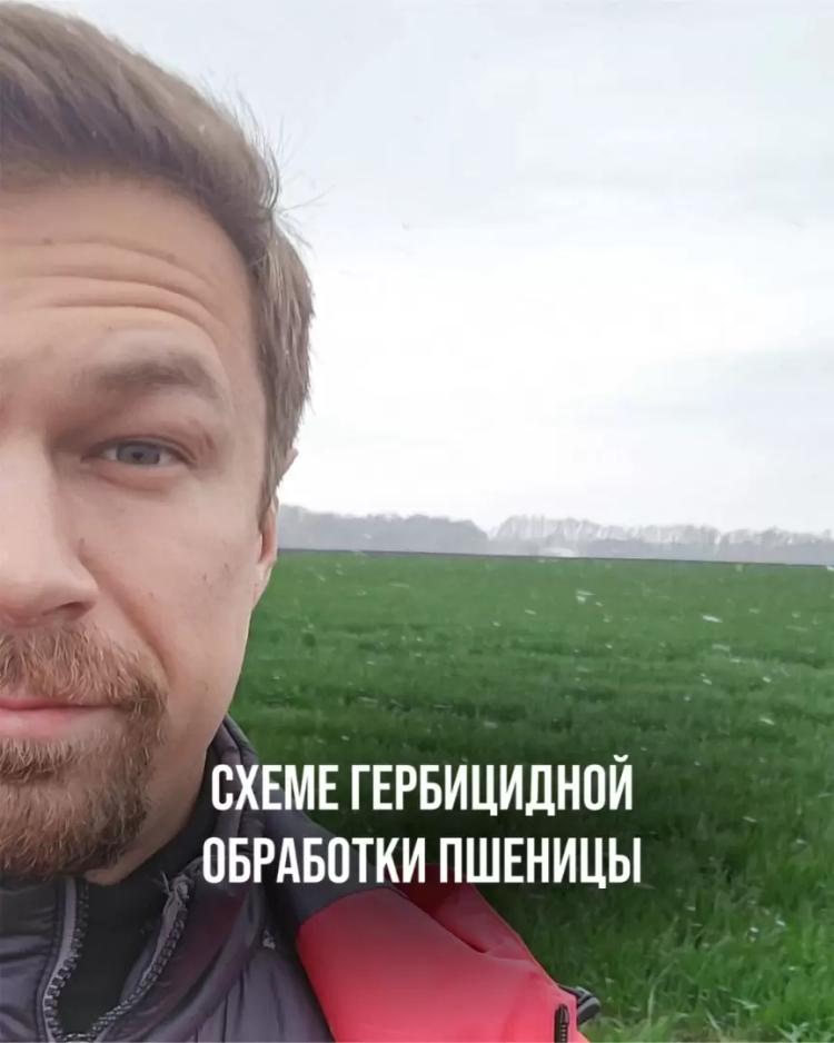 СХЕМА ГЕРБИЦИДНОЙ ОБРАБОТКИ ОЗИМОЙ ПШЕНИЦЫ