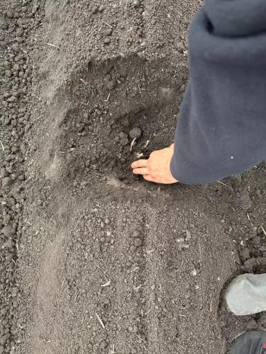 Победители в конкурсе «Лучший продукт АГРОТЕХ 2025»