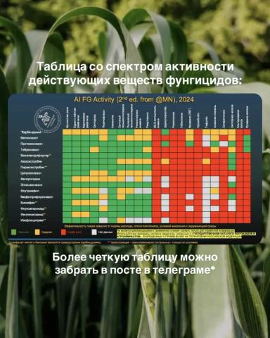 КАК ПРАВИЛЬНО ПОДОБРАТЬ ФУНГИЦИД