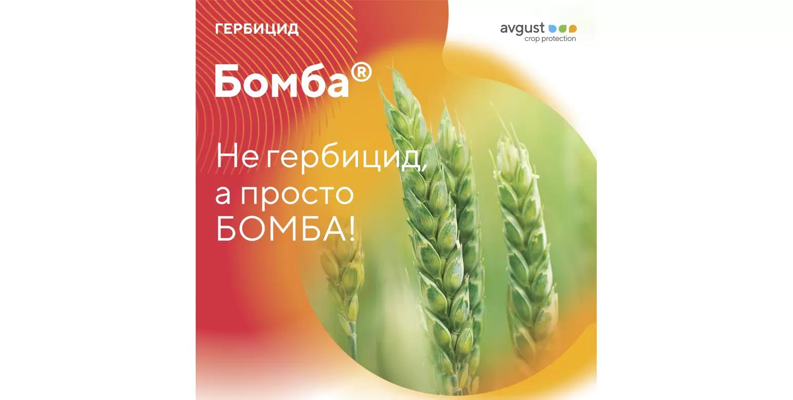 Уничтожить сорняки в посевах зерновых