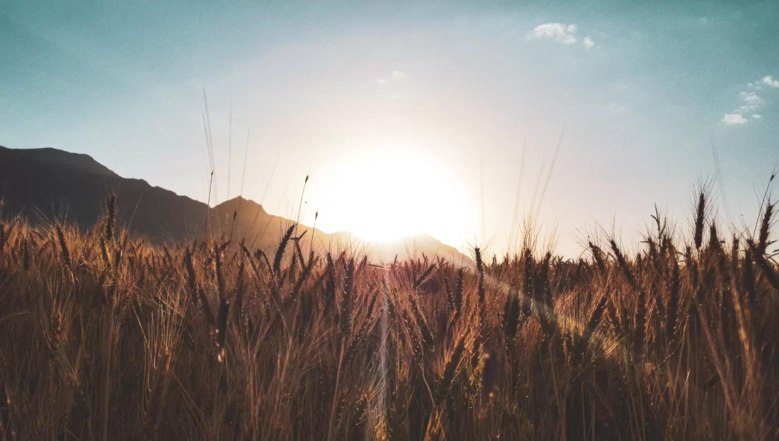 Как сократить время уборки на 10% и получить экономический эффект в 1,9 млн руб.