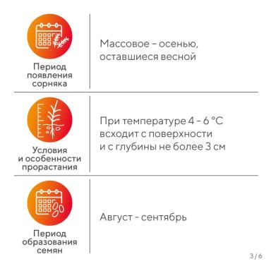 Вредный объект? У «Августа» ответ!