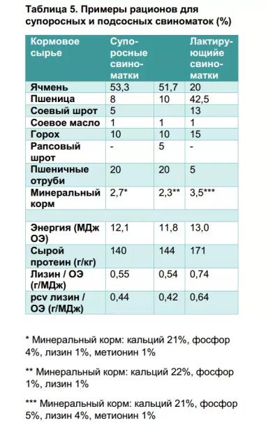 Кормовой горох в рационах свиней