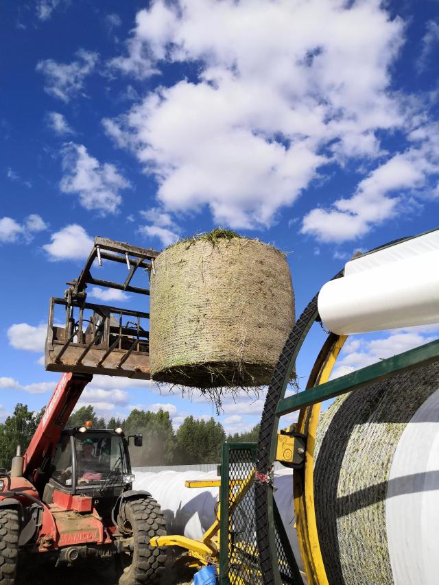 Заготовка сенажа в агрострейч ТПК "Руспленка"