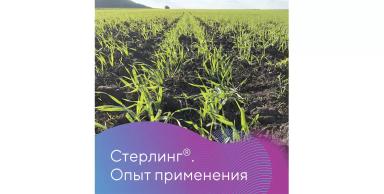 Новый протравитель «Августа» в действии