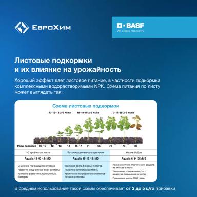 PROкачай сою! "Кормим" сою правильно