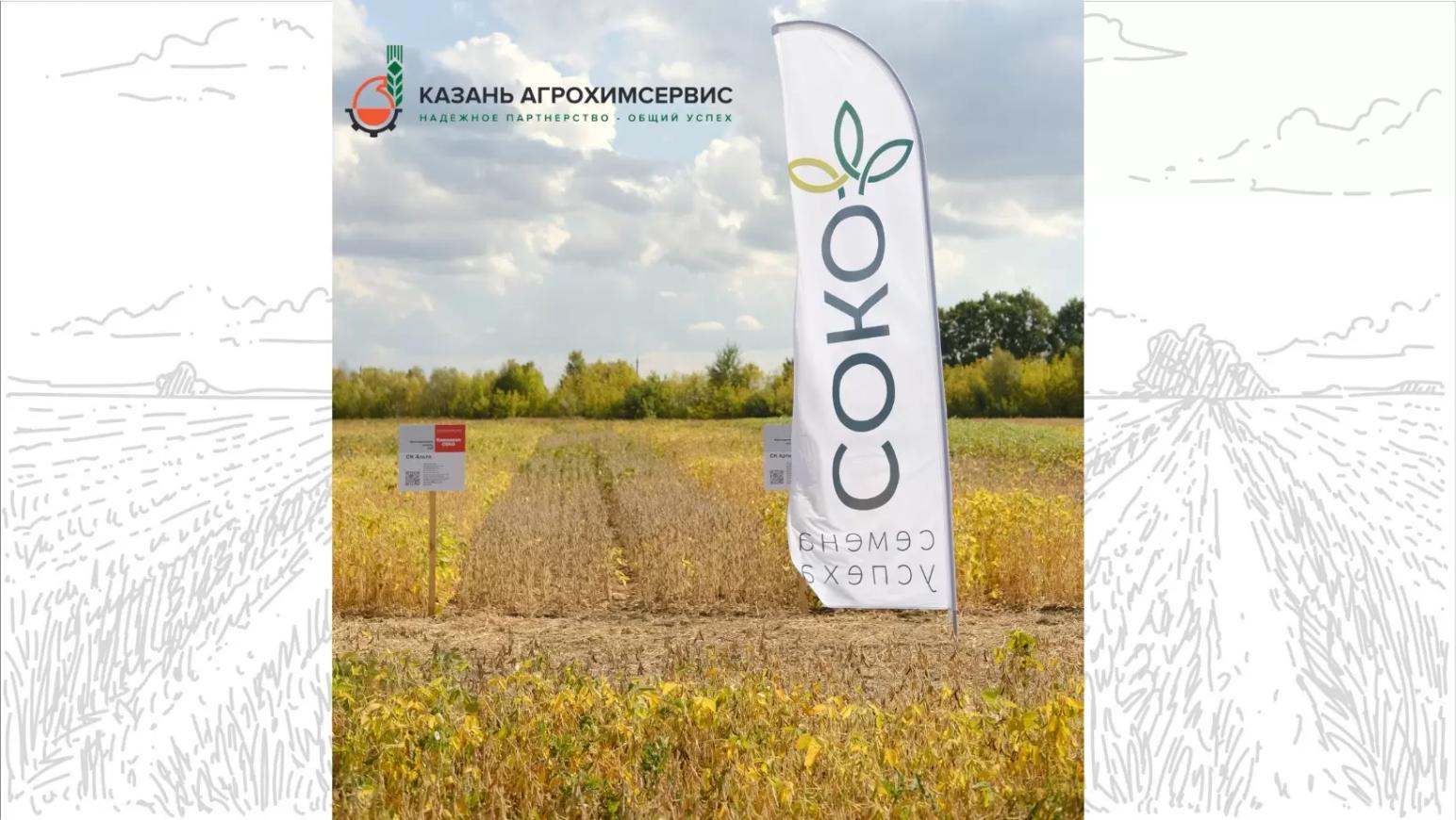 🌾ПОКАЗАТЕЛИ ДЕМО-ПОСЕВОВ СОИ 2023: ЧАСТЬ 2