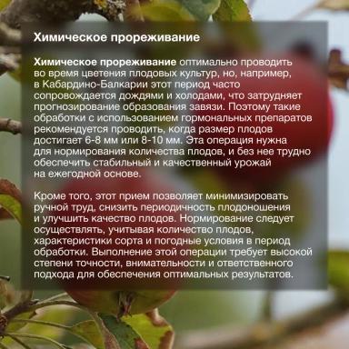 Эффективная забота о саде