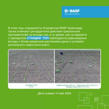 Соя: чем бережнее защита, тем выше результат