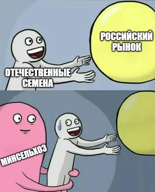 Минсельхоз РФ предложил ввести квоты на импорт семян в 2024 г.
