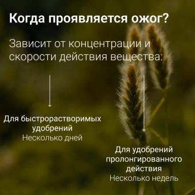 🔥 Топ-ошибок при внесении удобрений: как не навредить урожаю