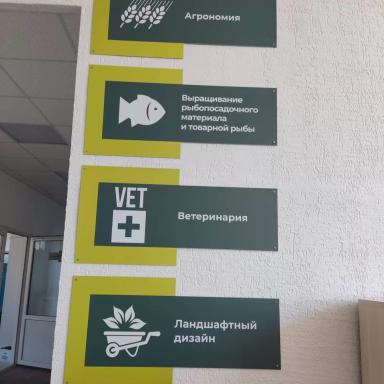 Образовательный туризм