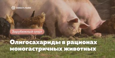 Олигосахариды в рационах моногастричных животных