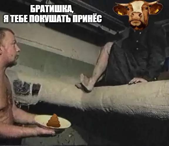 💩 🐮 Российские ученые предложили рецепты кормов из отходов для сельхозживотных