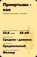 Прииртышская  сорт мягкой озимой пшеницы