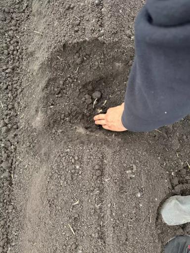 Топовые решения для картофеля - система активного управления орудием Trimble