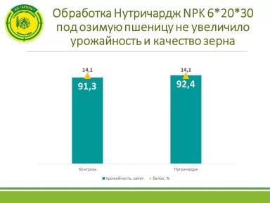 Нутричардж не принес прибавки урожайности и качества озимой пшеницы в опыте АО Артель