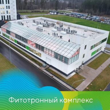 Итоги года «Августа»