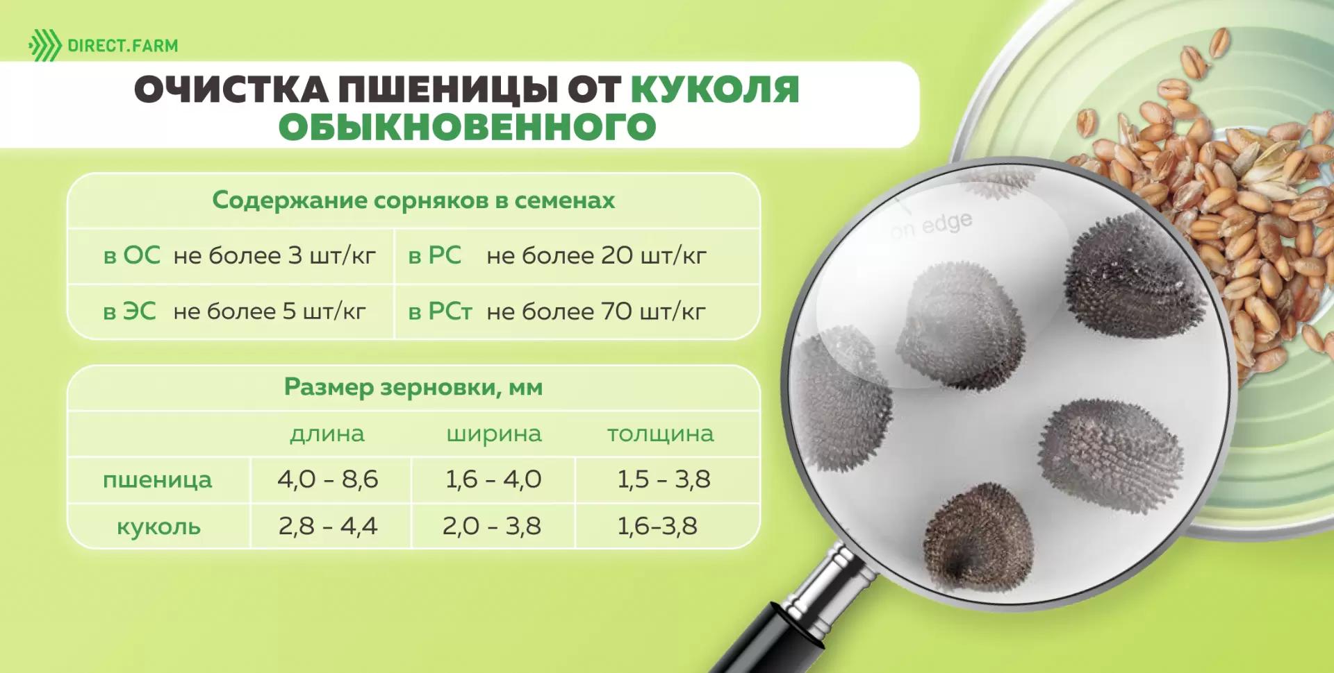 Очистка пшеницы от куколя обыкновенного