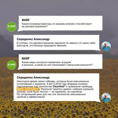 Заразиха в Ростовской области