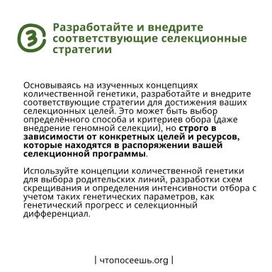 Интеграция концепций количественной генетики в селекционную программу.