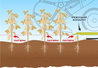 Почему предпосевной культиватор важен для сои: опыт Дальнего Востока