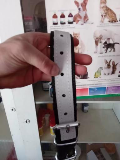 Путы при растяжениях связок у коров