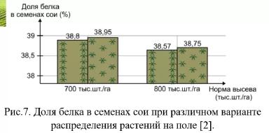 Соя Сильные семена