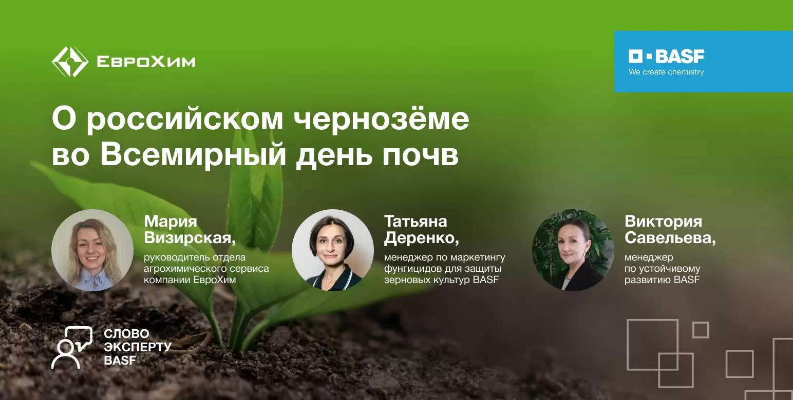 5 декабря — Всемирный день почв