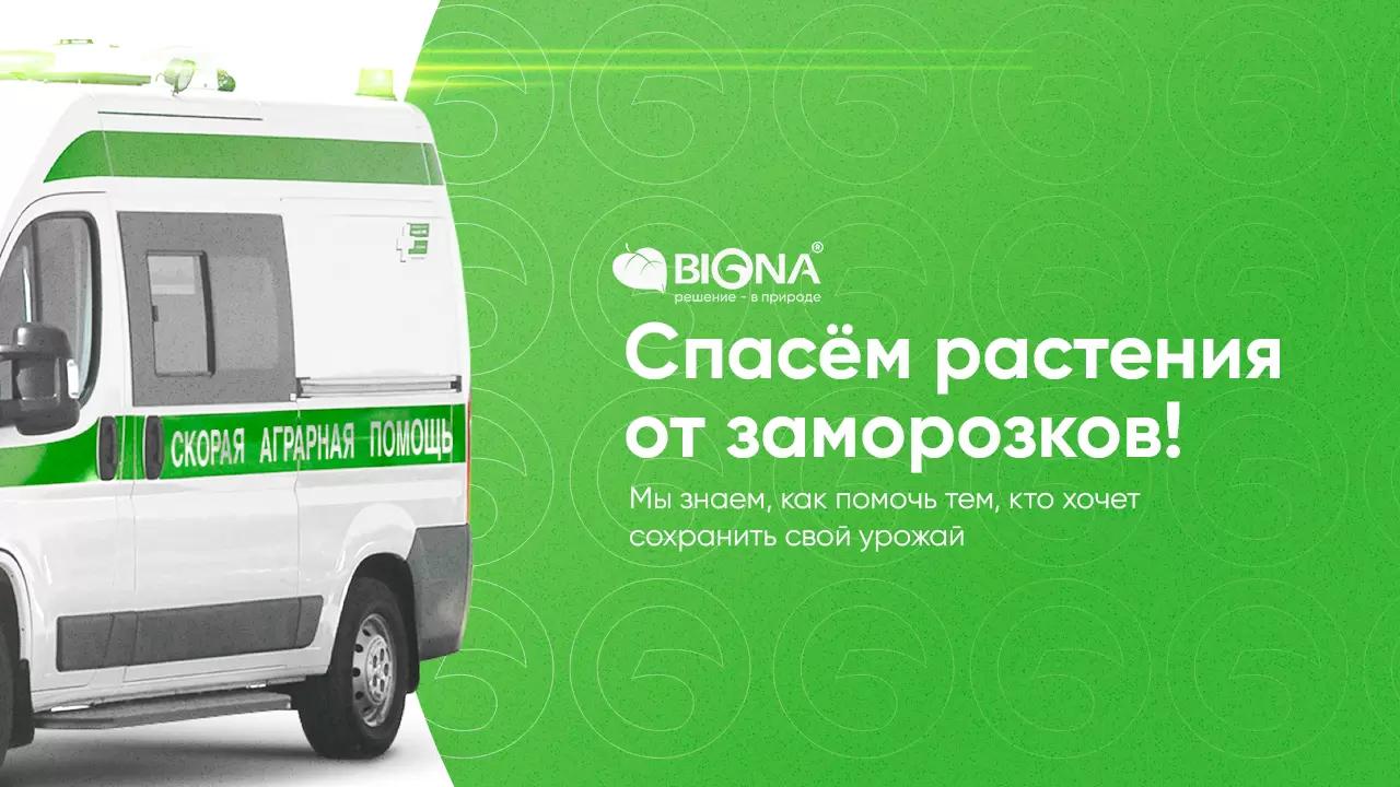 Как спасти растения от последствий заморозков?❄️