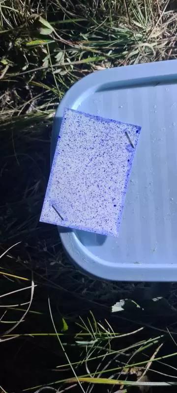 Опыт внесения МикроСолар жидкий Бор с помощью дрона XAG P100