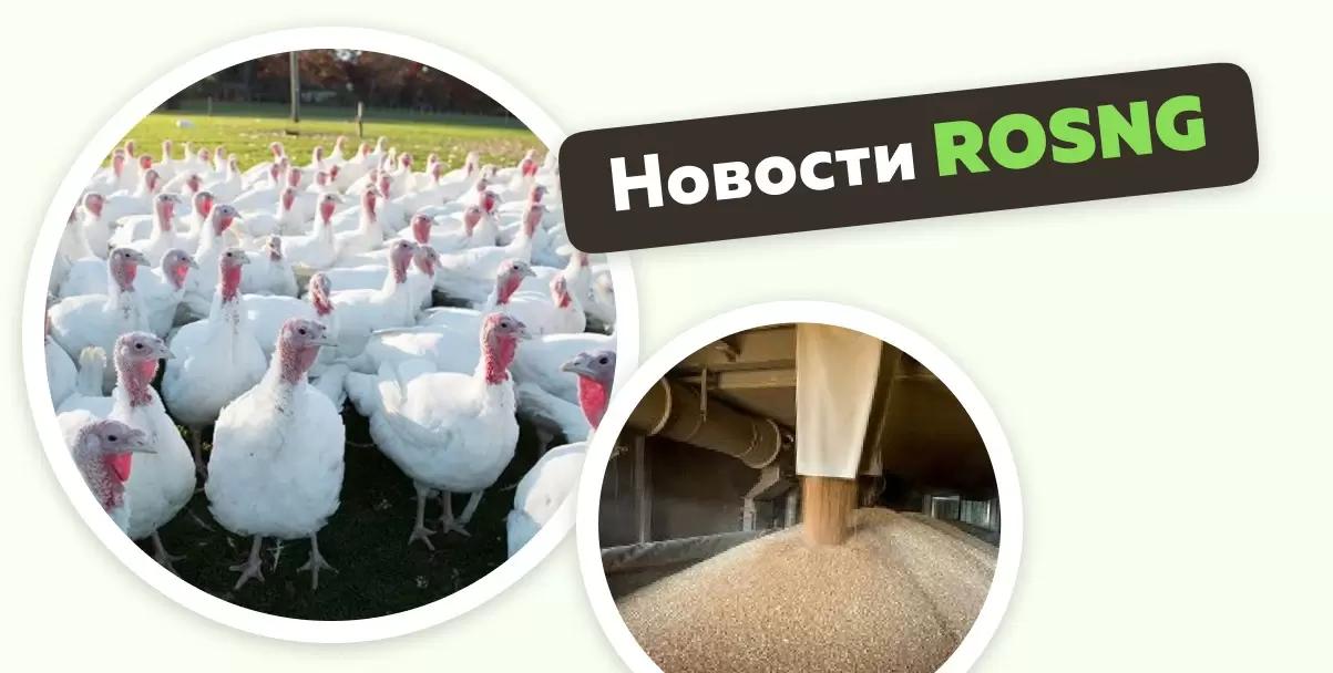 Обзор новостей за 15 февраля