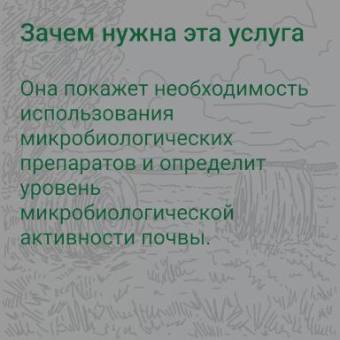 🧬 Как подобрать микробиологический препарат для ваших полей? 
