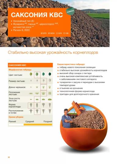 Саксония КВС