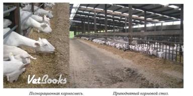 Харвуд – "Ветеринарное руководство по здоровью и благополучию коз". Глава 2.