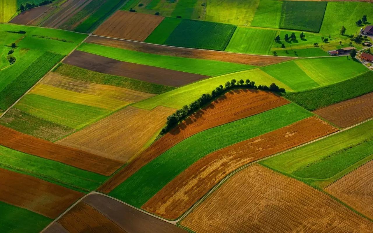 Минсельхоз: субъекты РФ смогут получать субсидии на кадастровые работы