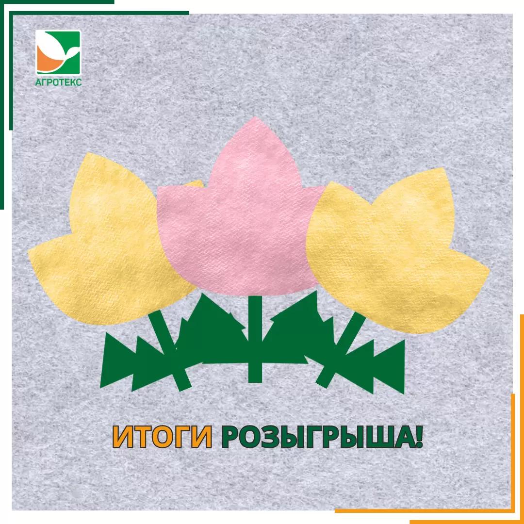 Итоги розыгрыша