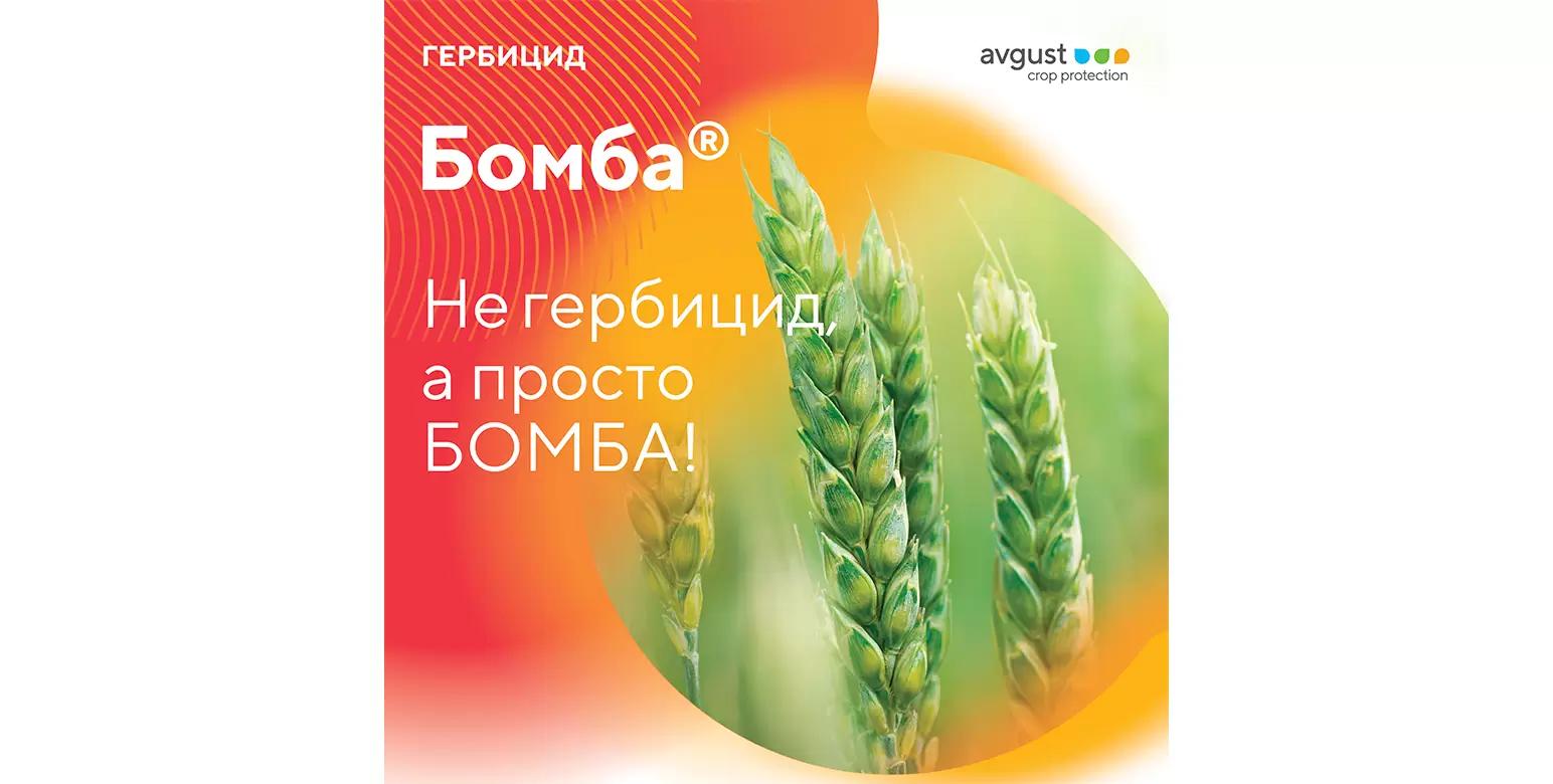 Бомба® – гербицид для борьбы с двудольными сорняками на зерновых