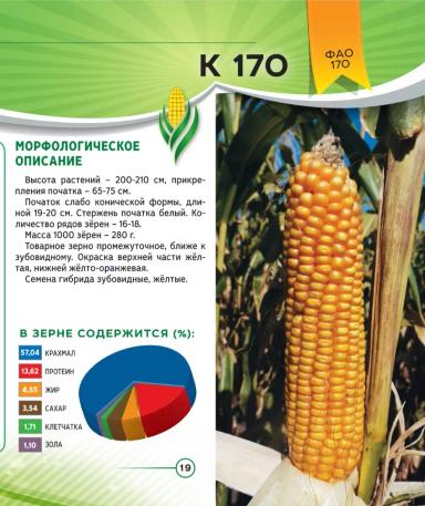 К 170