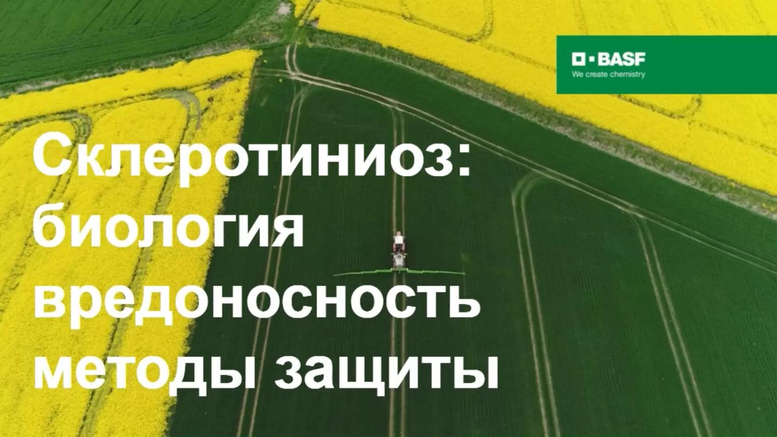 Склеротиниоз: биология, вредоносность и методы защиты
