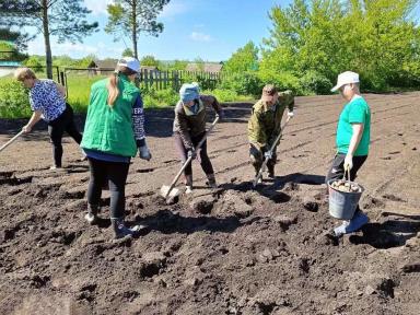 Названы финалисты «Картофельного БУМа»!