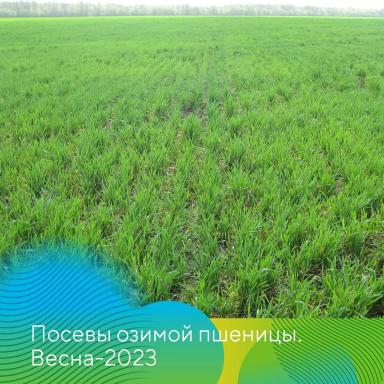 Вести с полей. Татарстан