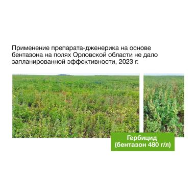 🌱 Одинаковое действующее вещество — разный результат