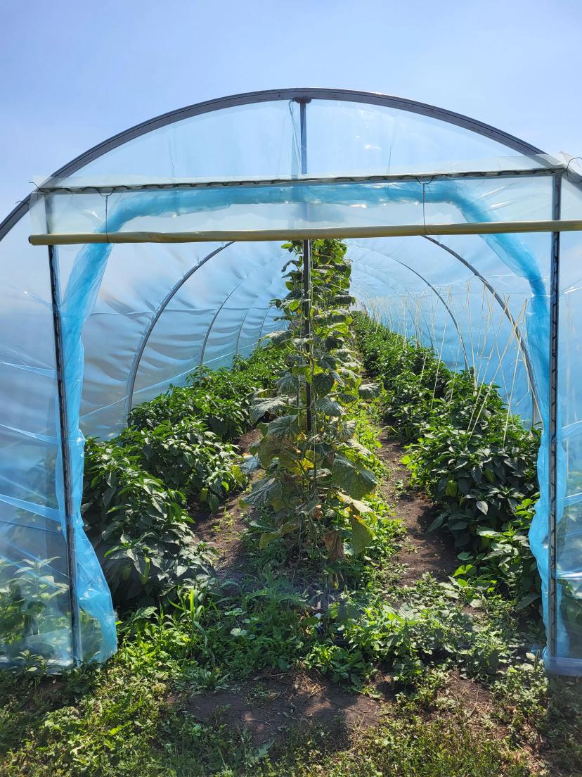 Балаганы - спасение в холодные ночи