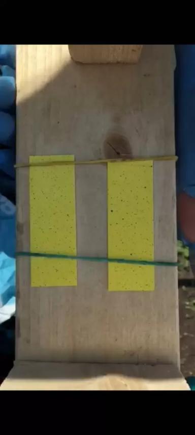 Опыт внесения гербицида КАМАРО,СЭ с помощью дронов XAG